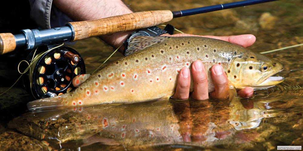 Only minutes from the lake